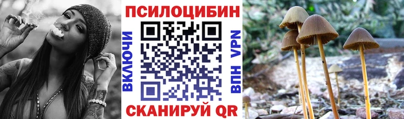 Купить закладки  Серов  Галлюциногенные грибы мицелий 